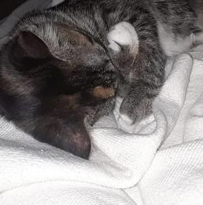 Meet your Posher, Natalie